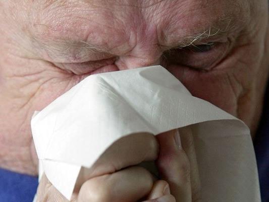 Eine vorweihnachtliche Grippewelle ist in Österreich angelaufen