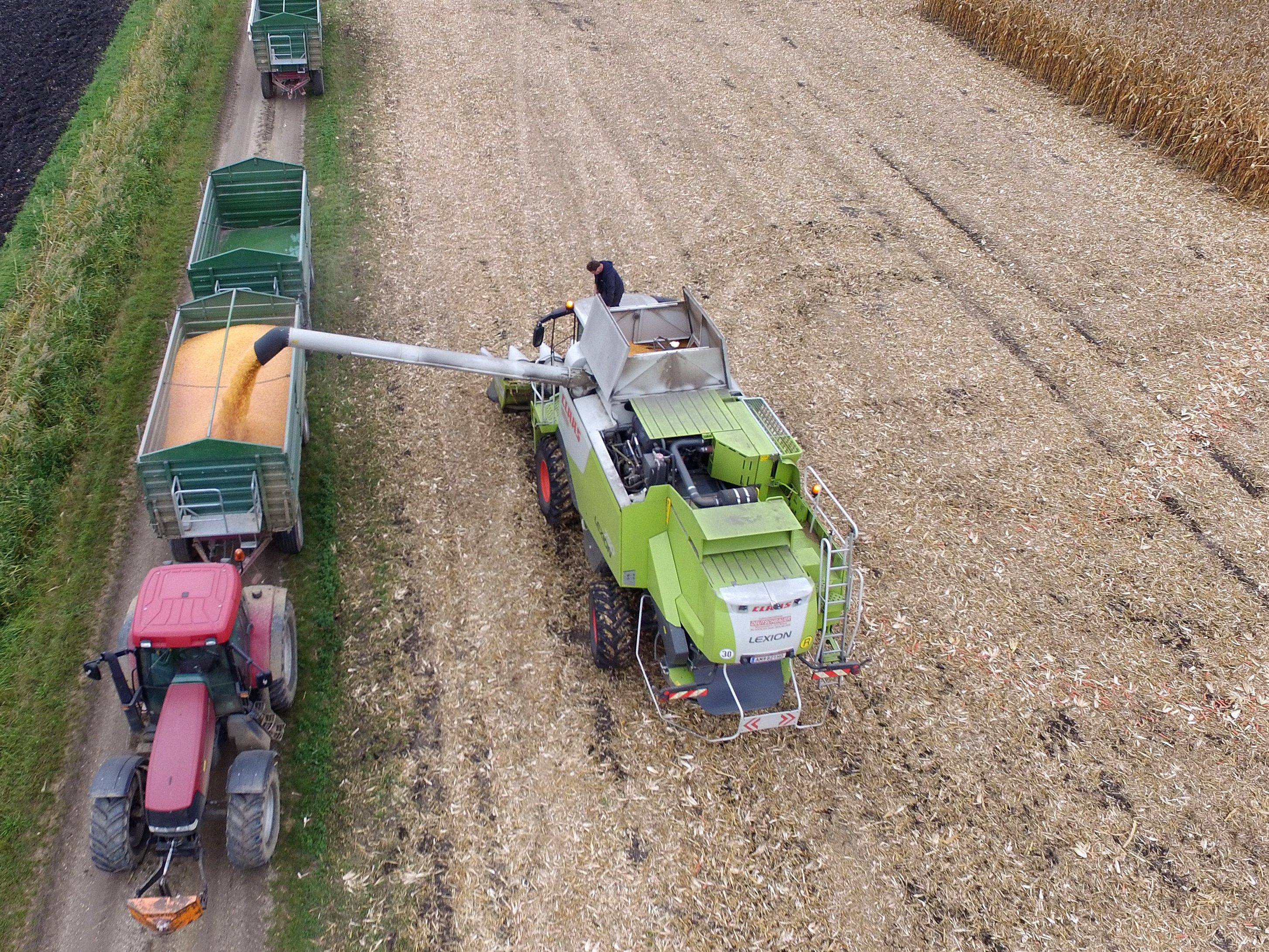 Im Landwirtschaftsbereich gibt es Anfang 2017 gute Jobprognosen.