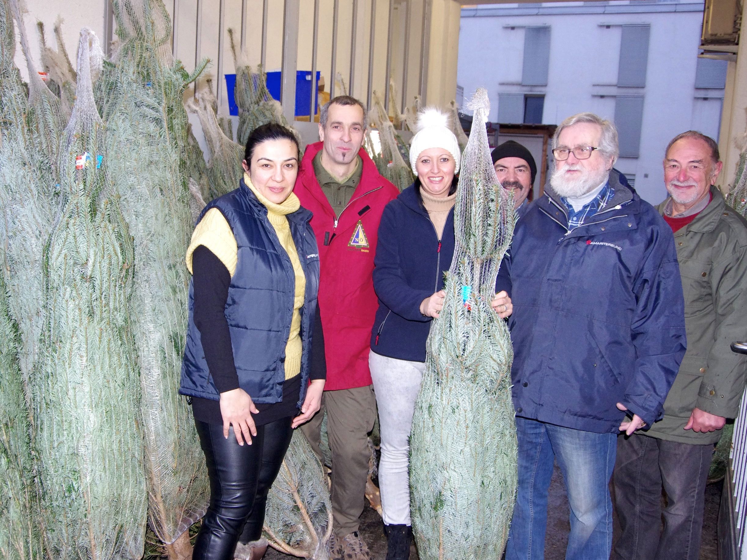 Christbaumbauer Josef Reithner mit dem SOMA-Team der Pillergasse Selda Ekinci, Leiterin Cristina Vidic, Radisa Mitrovic, Wolfgang Müller, Franz Frankl