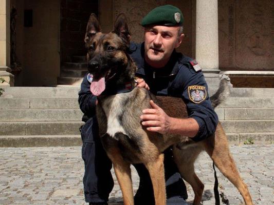 Ein Polizeidiensthund half beim finden der Einbrecher