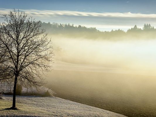 Eine Kaltfront macht am Christtag einen Hauch von Winter möglich.