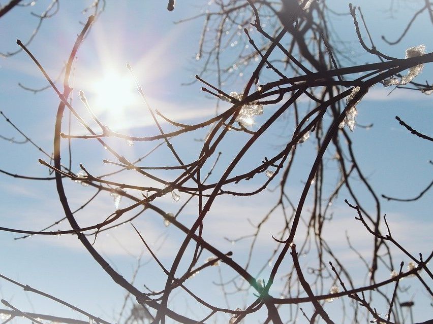 Der Winter zeigt sich von seiner milden Seite am Wochenende. Der Winter zeigt sich von seiner milden Seite am Wochenende.