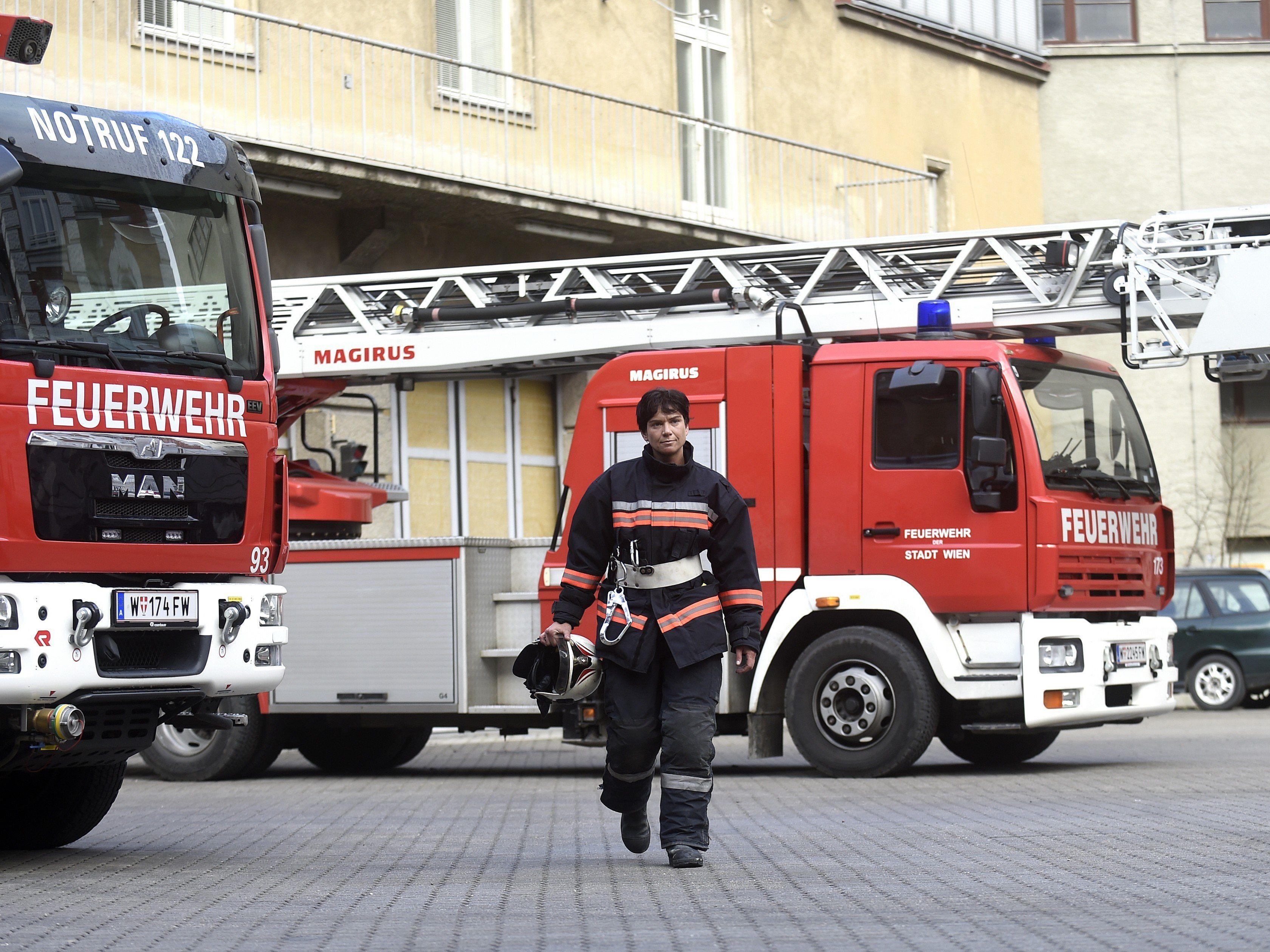 Großeinsatz für die Feuerwehren in Wiener Neudorf.