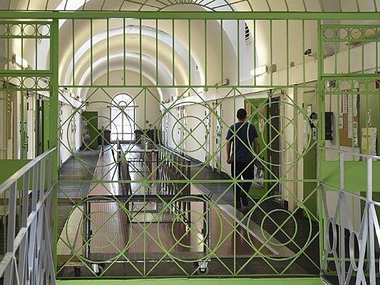 Das Wiener Landesgericht nahm eine ganze Reihe von Haftgründen an Das Wiener Landesgericht nahm eine ganze Reihe von Haftgründen an