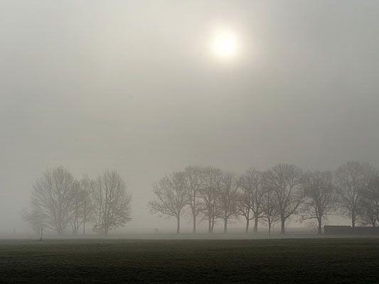 Am mildesten bleibt es in den nebelfreien Regionen