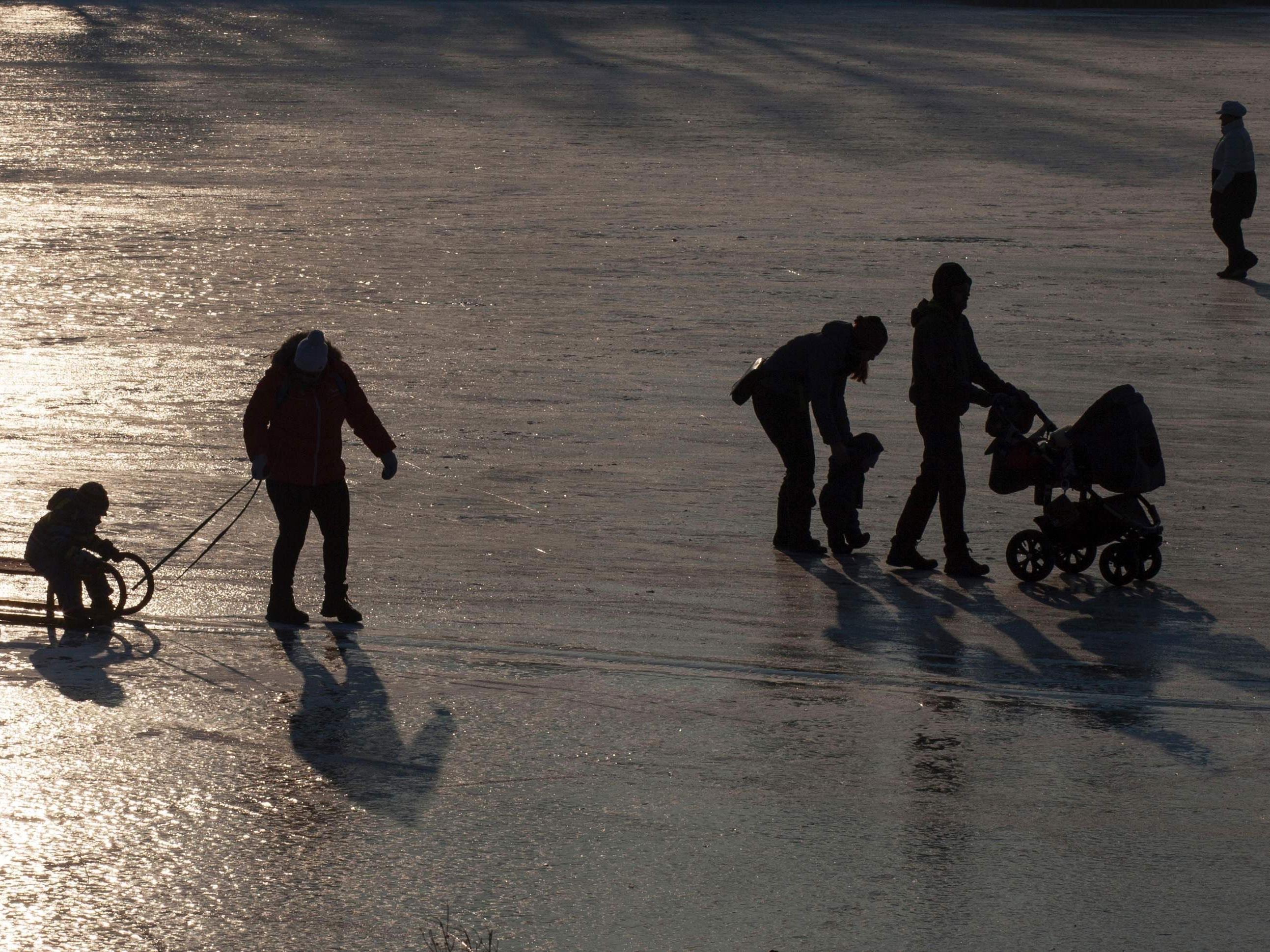 Eislaufende auf der Alten Donau - sogar mit Schlitten und Kinderwagen