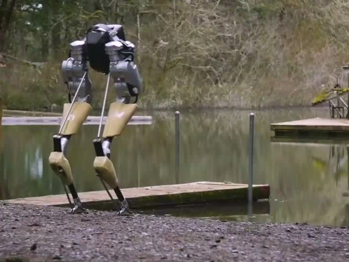 Die Entwickler sehen für Cassie auch Potenzial beim Einsatz für das Militär. Die Entwickler sehen für Cassie auch Potenzial beim Einsatz für das Militär.