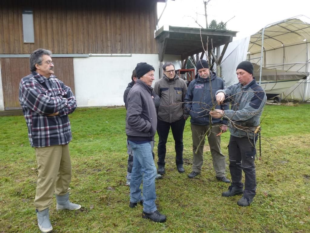 Baumschnittkurs des OGV Lustenau bei Elmar Scheffknecht Baumschnittkurs des OGV Lustenau bei Elmar Scheffknecht