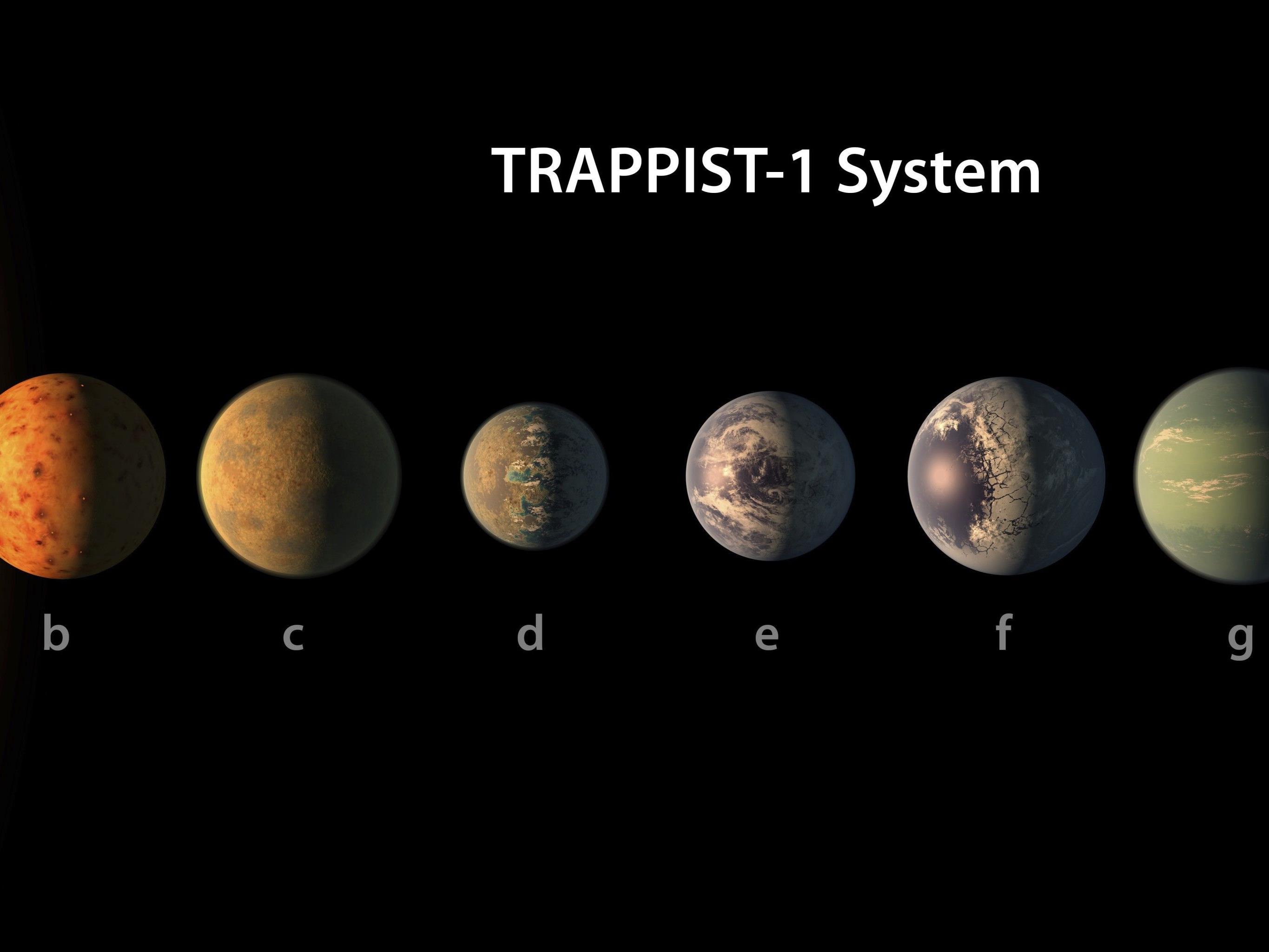 Wissenschafter hoffen auf Entdeckung außerirdischen Lebens im Trappist-1-System.