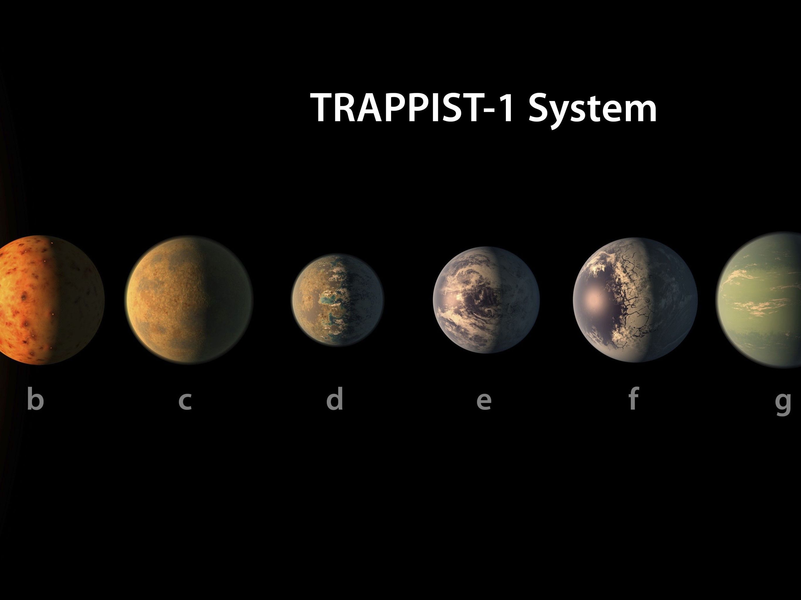 Wissenschafter hoffen auf Entdeckung außerirdischen Lebens im Trappist-1-System. Wissenschafter hoffen auf Entdeckung außerirdischen Lebens im Trappist-1-System.