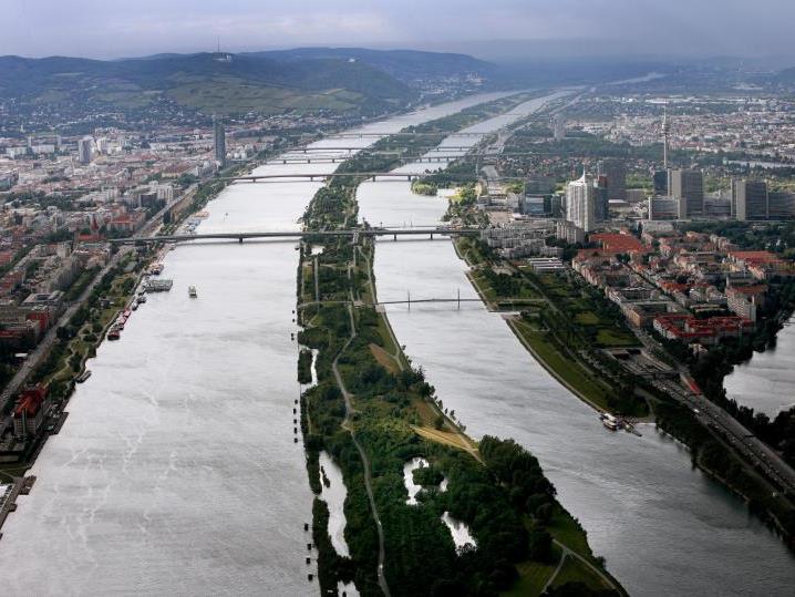 Die Festnahme der 22 Männer erfolgte im Bereich der Donauinsel.