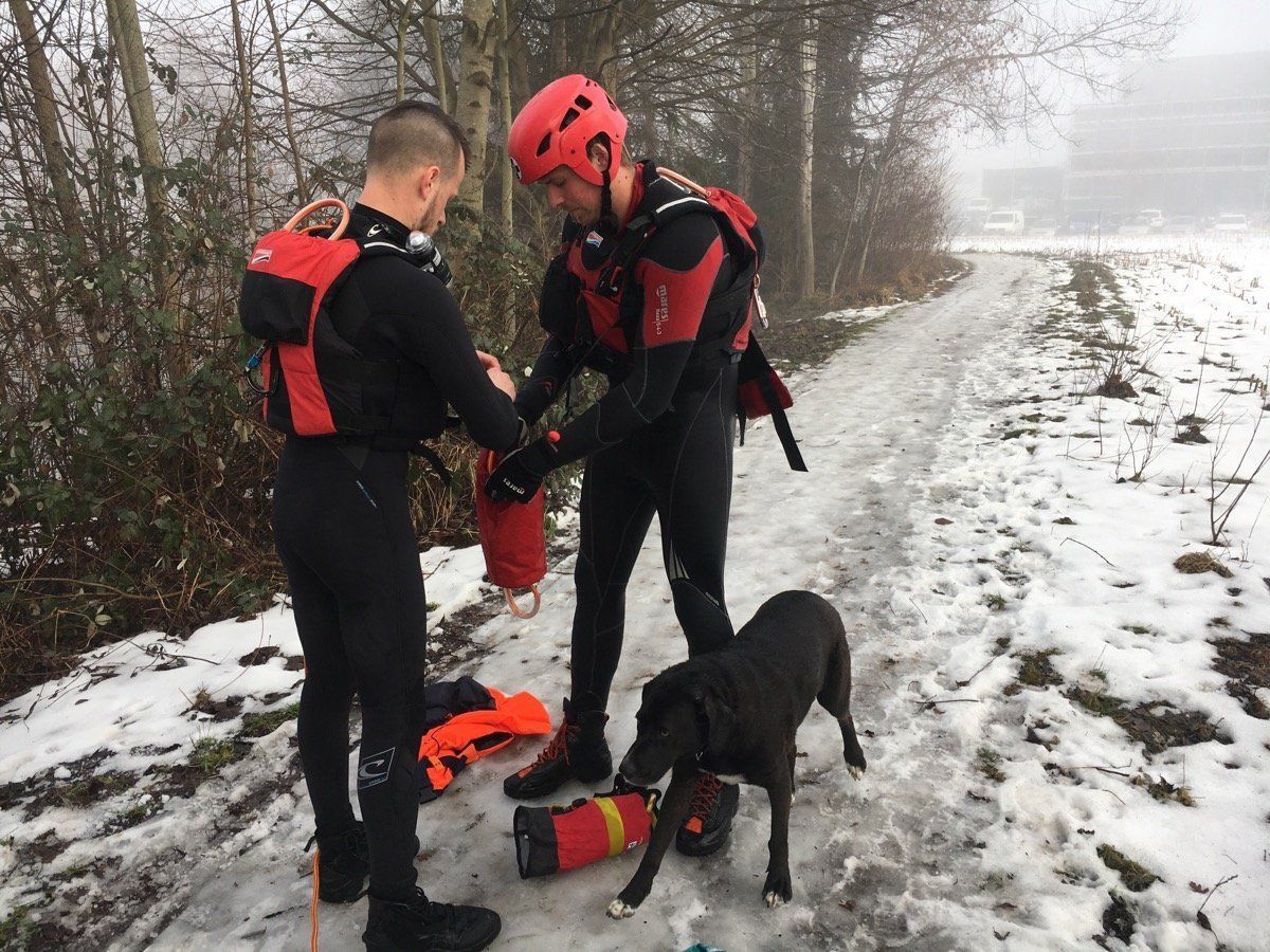 Dem Wasserretter und dem Hund geht es gut. Dem Wasserretter und dem Hund geht es gut.
