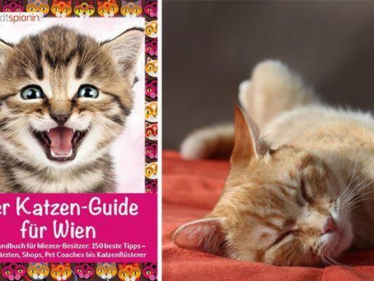 Ein neuer Guide vereint alles, was Katzen-Fans in Wien wissen wollen