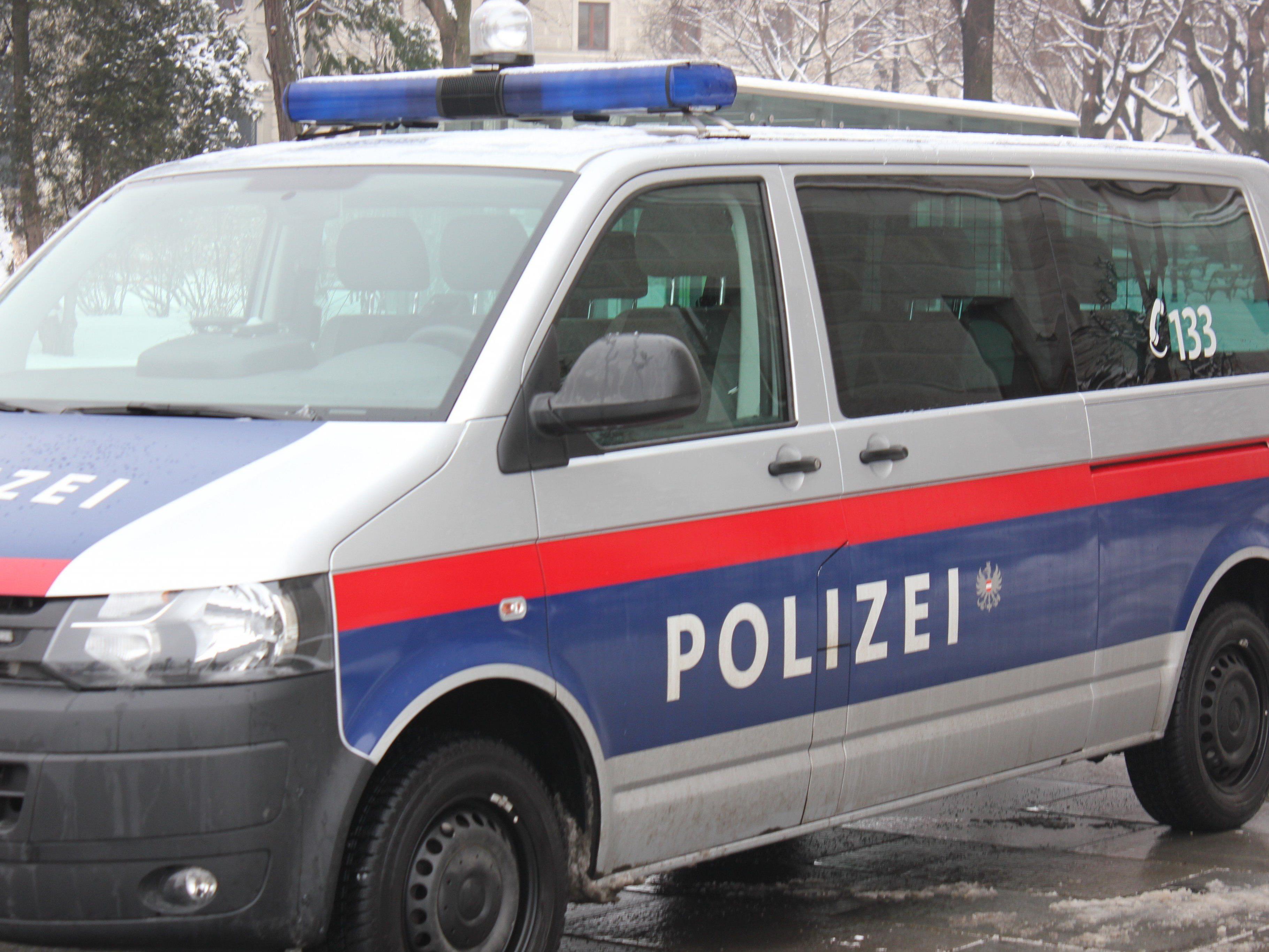 22 Personen wurden in Wien festgenommen.