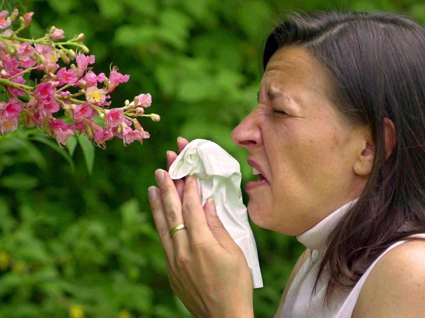 Pollen machen Allergikern bereits im Februar zu schaffen