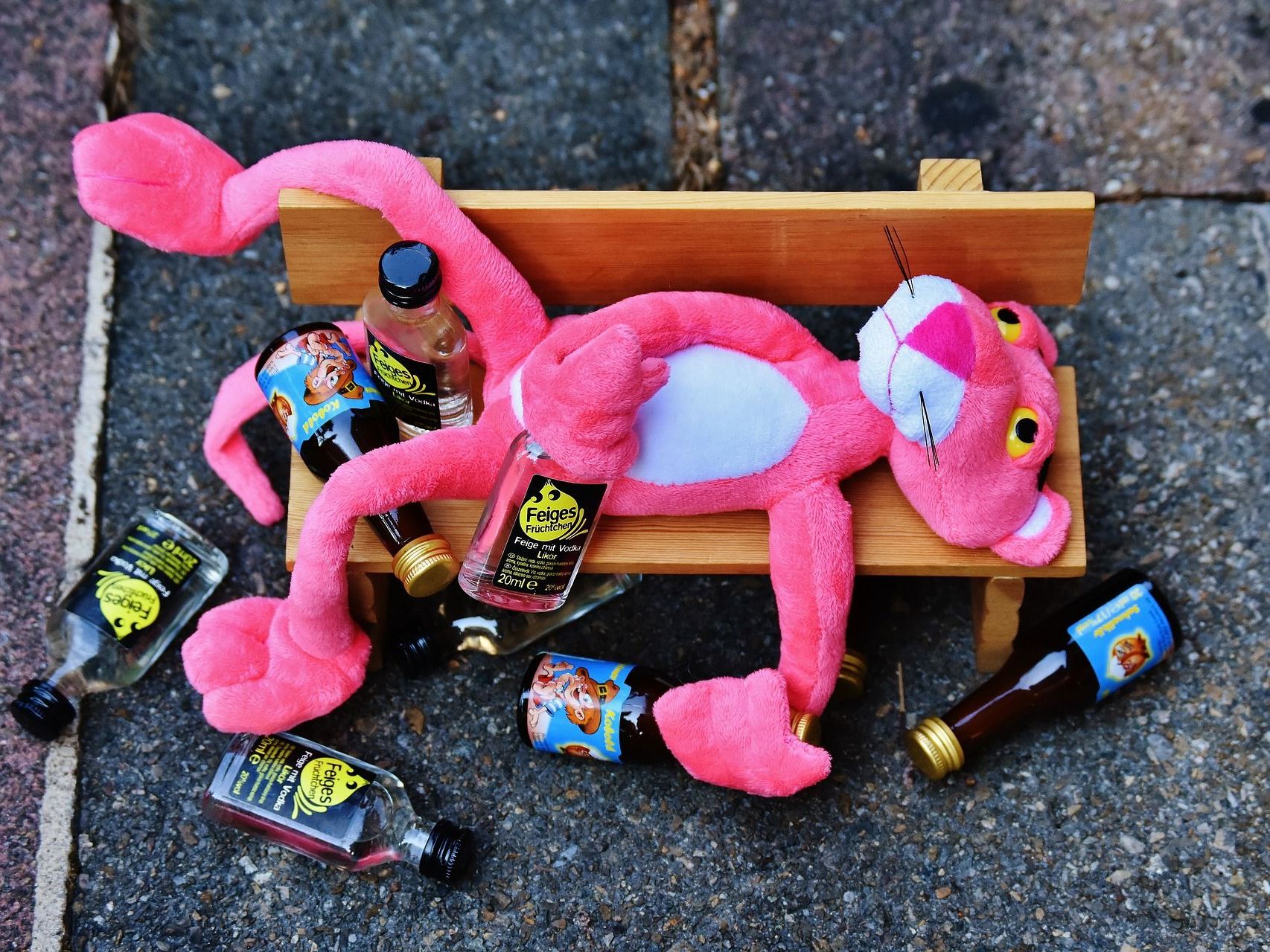 Nicht selten herrscht Chaos nach einer Party. Nicht selten herrscht Chaos nach einer Party.