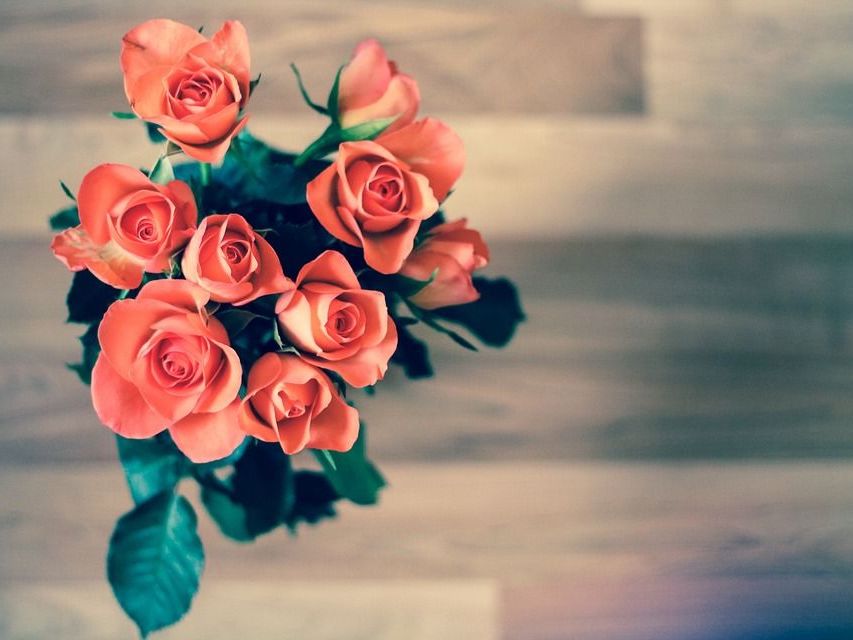 Auch in Österreich wird der Valentinstag zelebriert. Auch in Österreich wird der Valentinstag zelebriert.