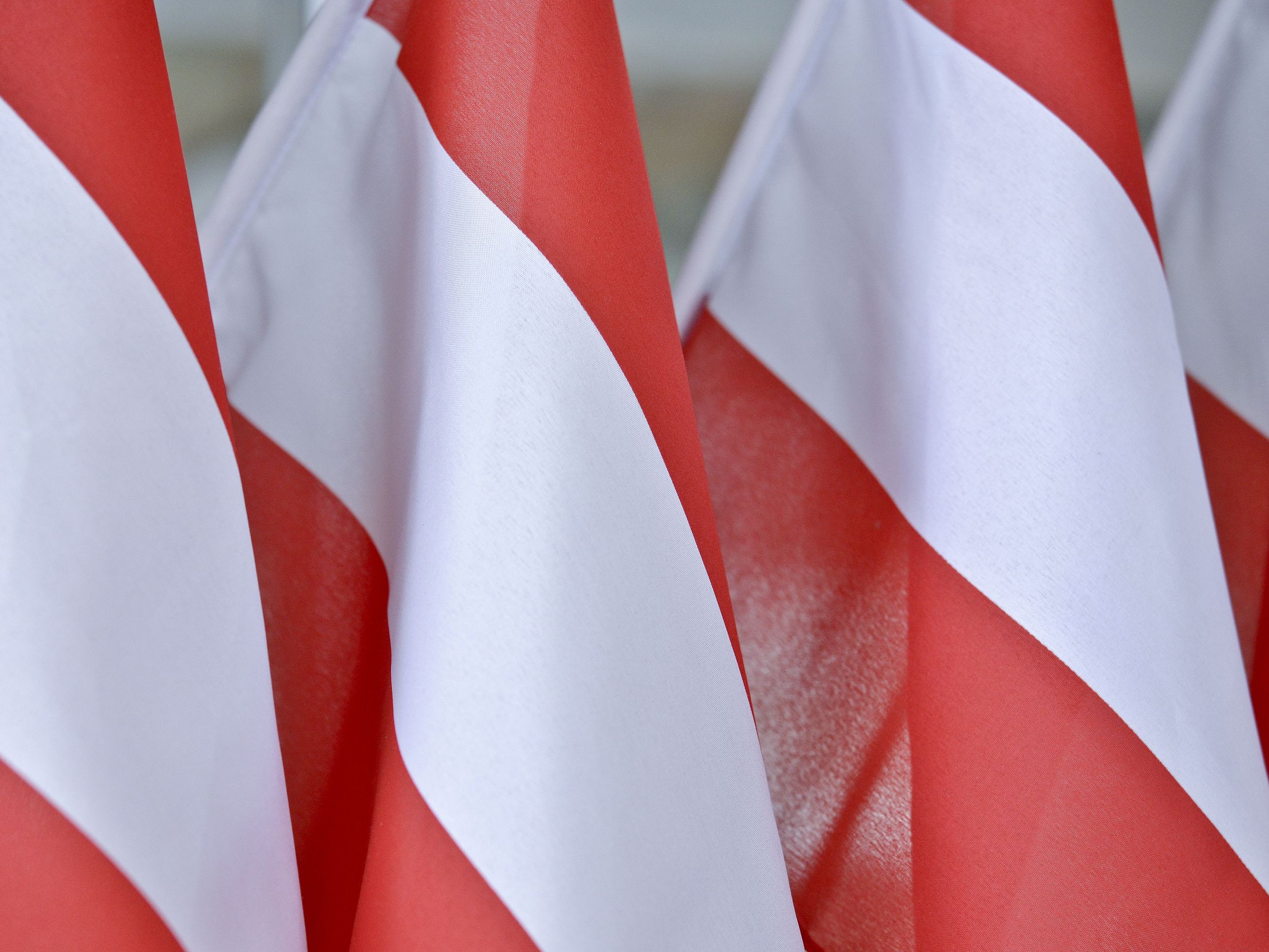 Der IS-Sympathisant verlor die österreichische Staatsbürgerschaft. Der IS-Sympathisant verlor die österreichische Staatsbürgerschaft.