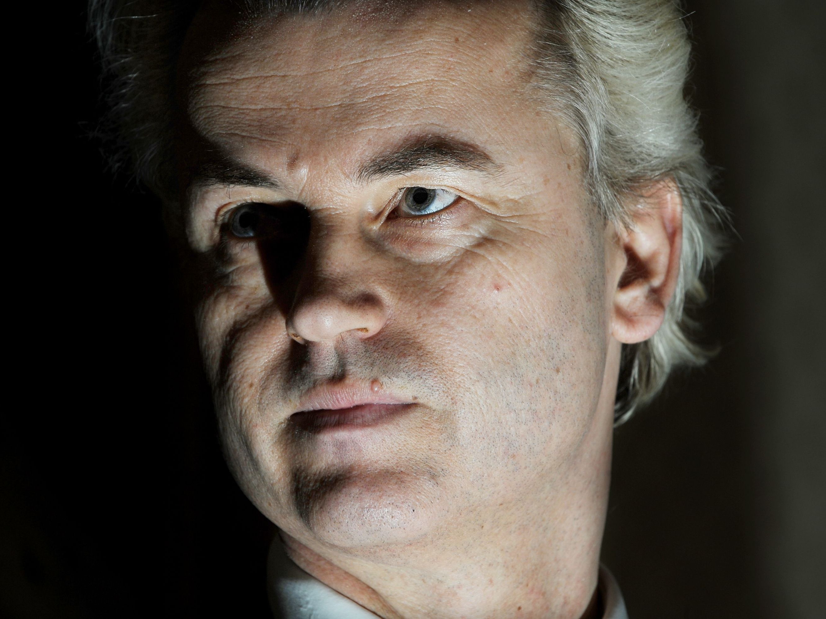 Wilders-Partei verliert in Umfragen. Wilders-Partei verliert in Umfragen.