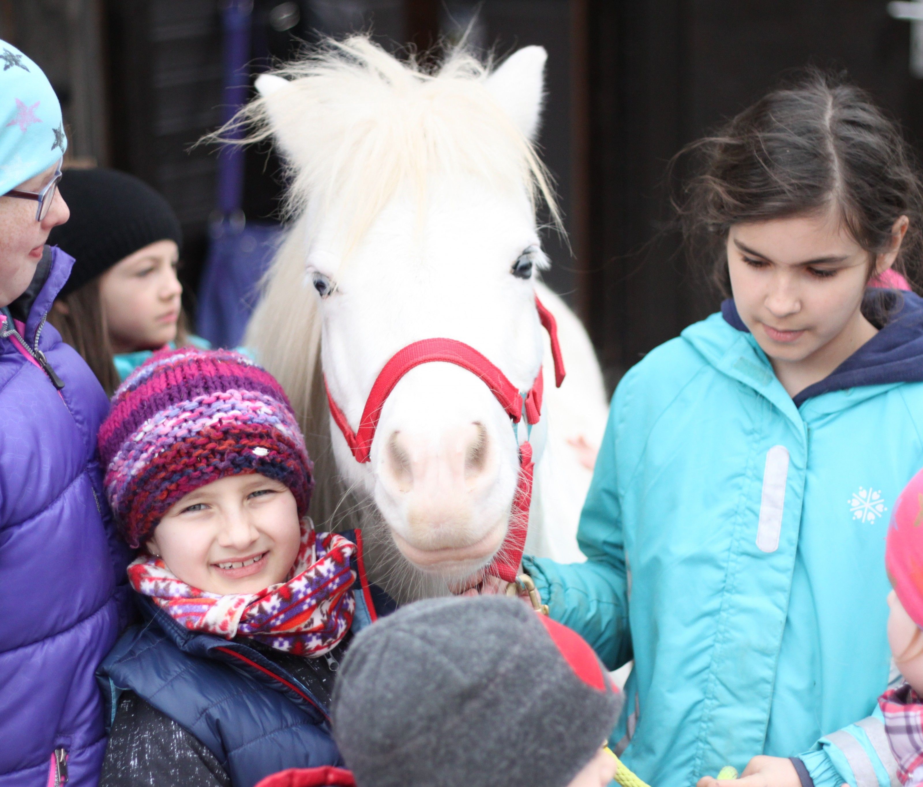 In den Osterferien können Kinder zum Beispiel einen Nachmittag am Ziegenhof verbringen. Drei Termine stehen dafür zur Wahl. In den Osterferien können Kinder zum Beispiel einen Nachmittag am Ziegenhof verbringen. Drei Termine stehen dafür zur Wahl.
