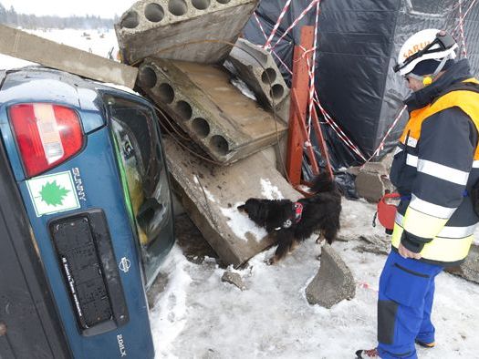 Proben für den Ernstfall Proben für den Ernstfall