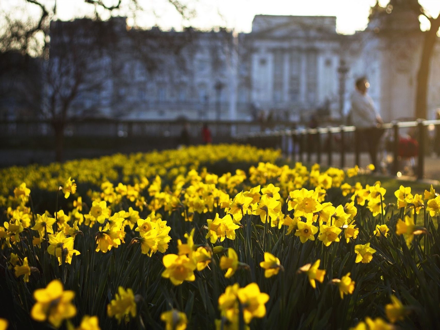 Der Frühling zeigt sich in dieser Woche Der Frühling zeigt sich in dieser Woche