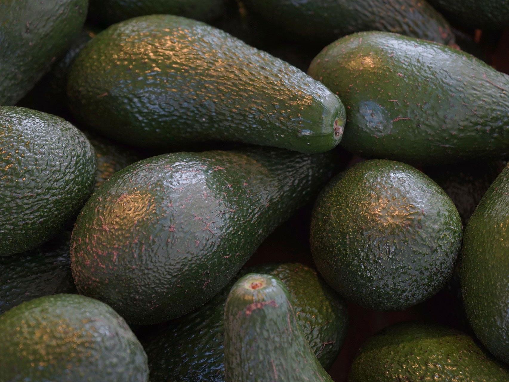 Bio-Avocados werden nun in ausgewählten Supermärkten mit Laser-Logo angeboten
