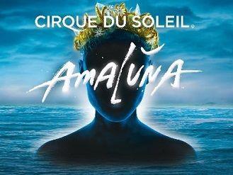 VIENNA.at verlost 1x2 Tickets für die Premiere von Cirque du Soleil: Amaluna.