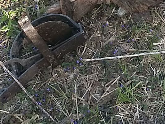 Polizei sucht nach Zeugen. Polizei sucht nach Zeugen.