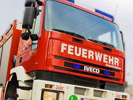 Ein Flächenbrand am Flugfeld Wiener Neustadt rief Löschtrupps der Feuerwehr zum Einsatz