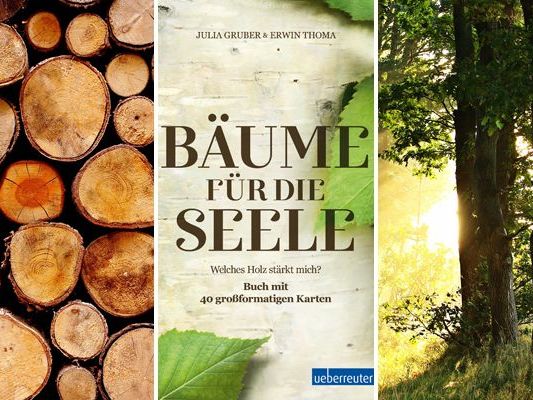 Jeder Baum hat seinen eigenen Charakter und eine spezifische Funktion. Jeder Baum hat seinen eigenen Charakter und eine spezifische Funktion.
