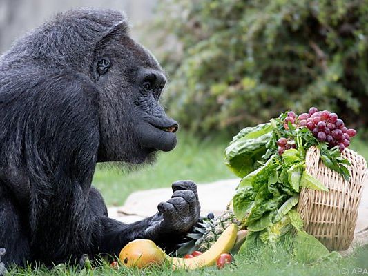 Fatou und ihr Geschenkkorb Fatou und ihr Geschenkkorb