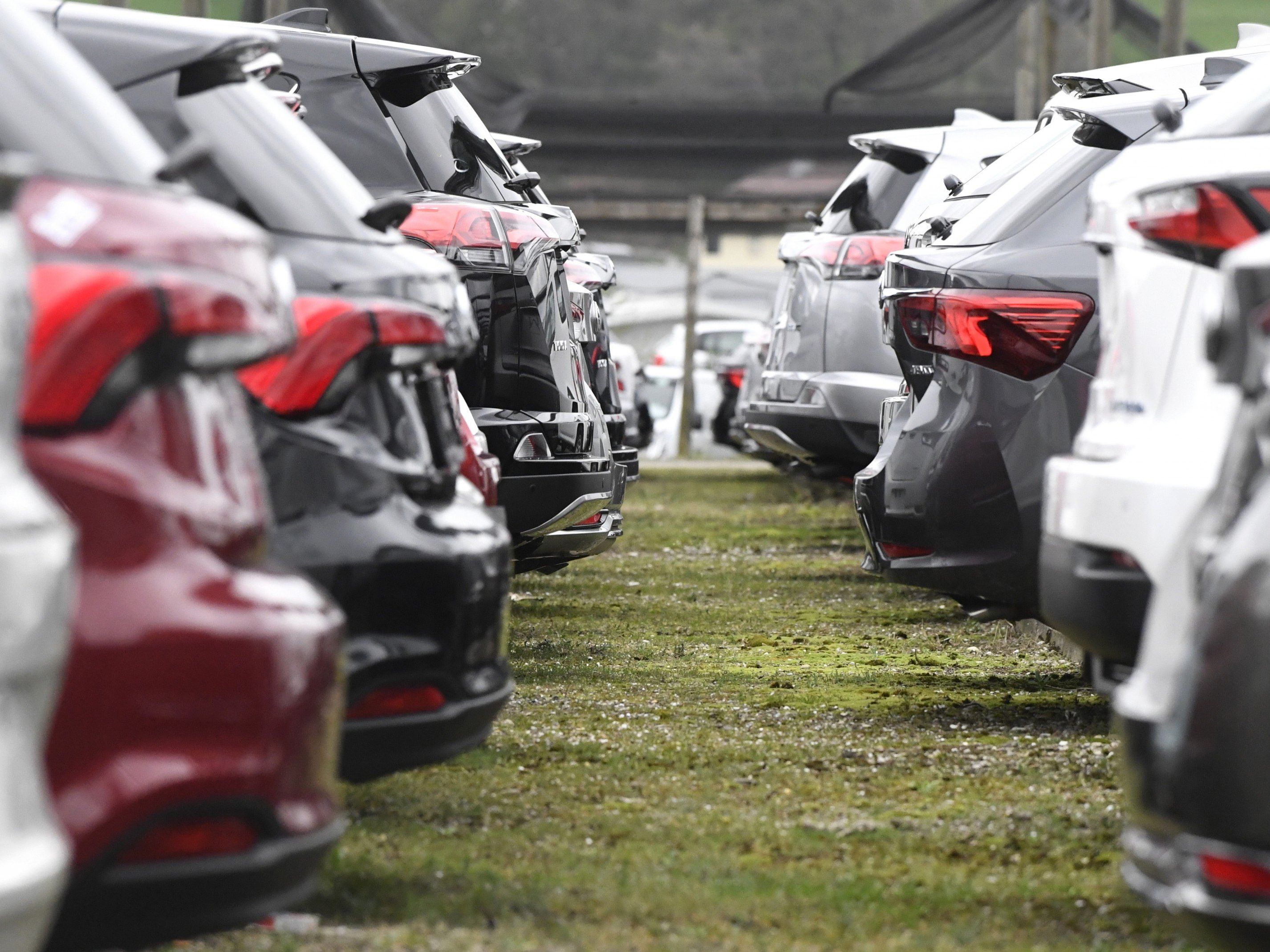 Die Carsharing-Plattform "Drivy" zeigt sich über ihren Start in Österreich zufrieden. Die Carsharing-Plattform "Drivy" zeigt sich über ihren Start in Österreich zufrieden.