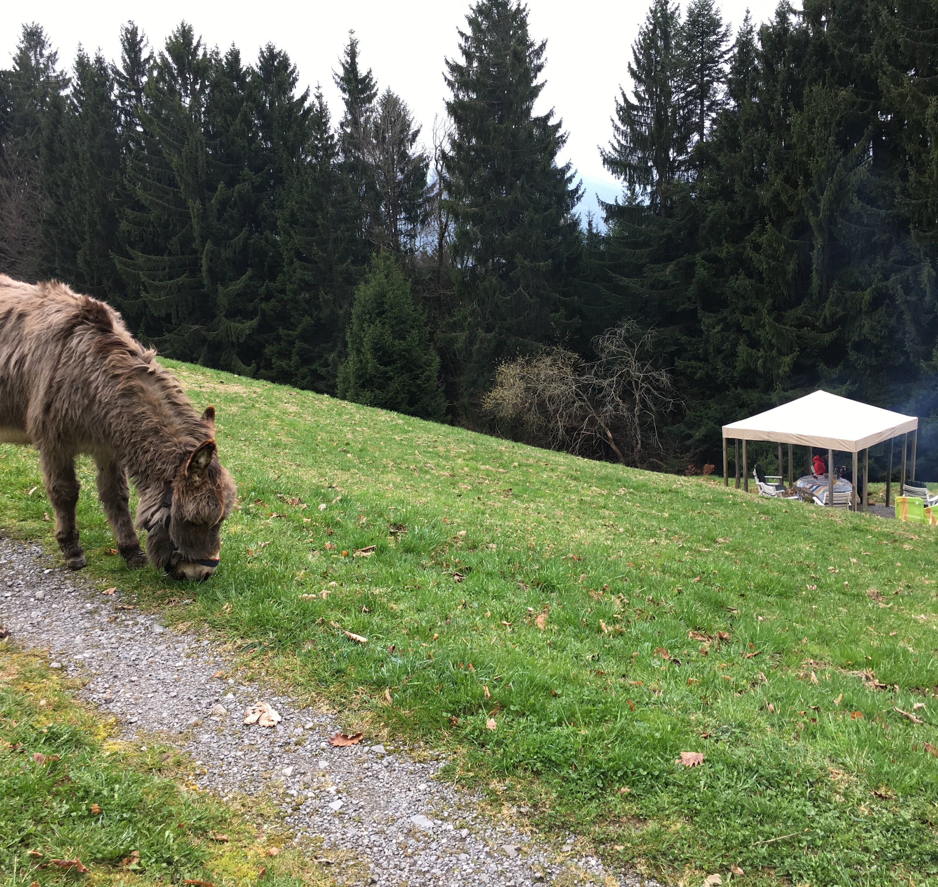Ruhe finden beim Wandern Ruhe finden beim Wandern