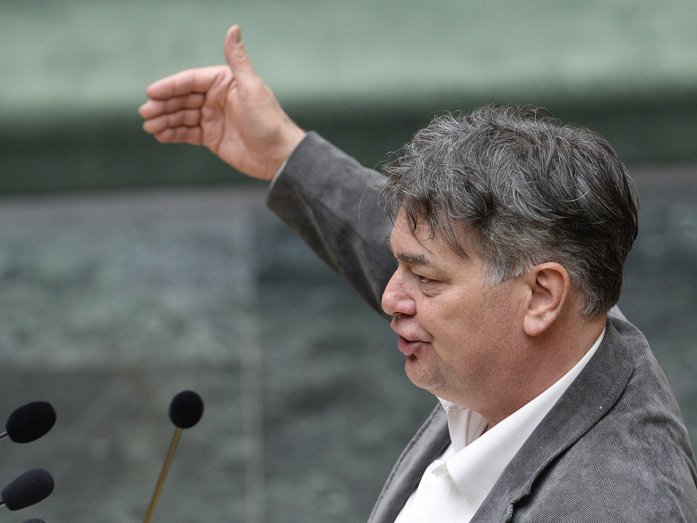 Der Grüne Werner Kogler übt Kritik an der Regierung Der Grüne Werner Kogler übt Kritik an der Regierung