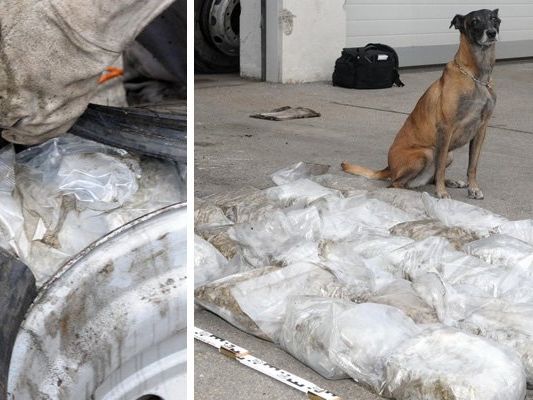 Polizeihund Frankie mit seinem Fund. Polizeihund Frankie mit seinem Fund.