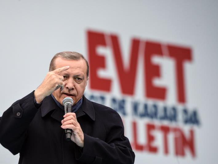 Präsident Erdogan hatte die Auslandstürken aufgerufen, sich massenhaft zu beteiligen