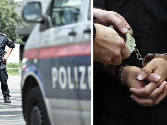 Die Polizisten vertrauten bei der Kontrolle auf ihren Instinkt. Die Polizisten vertrauten bei der Kontrolle auf ihren Instinkt.