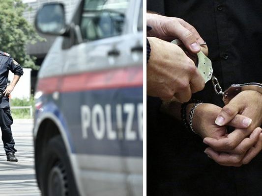 Die Polizisten vertrauten bei der Kontrolle auf ihren Instinkt.