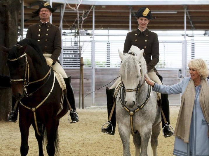 Herzogin Camilla zu Besuch in der Hofreitschule.
