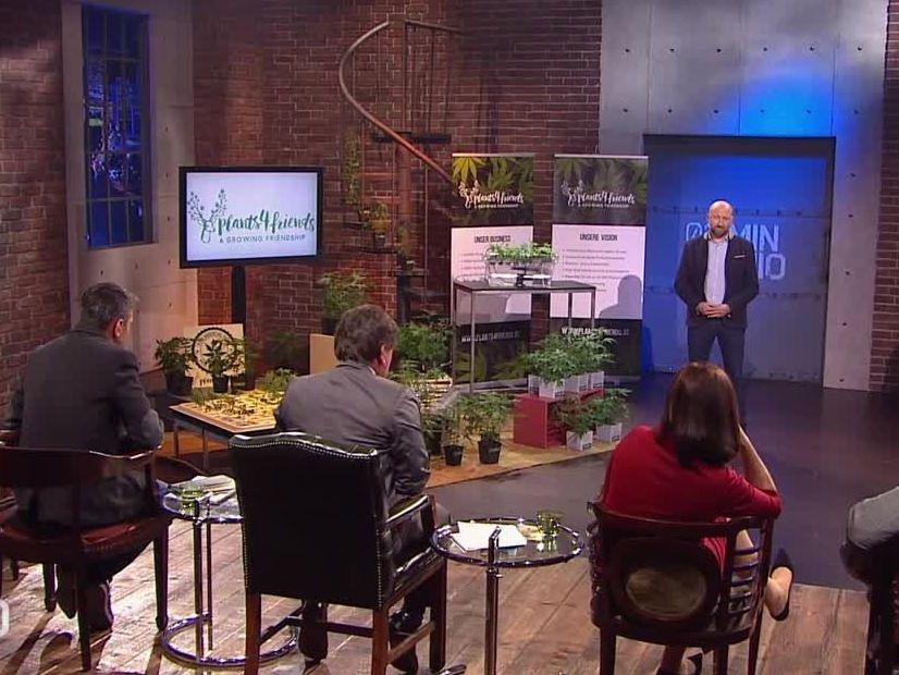 Plants4Frieds: Ist Hanf für die Investoren interessant? Plants4Frieds: Ist Hanf für die Investoren interessant?