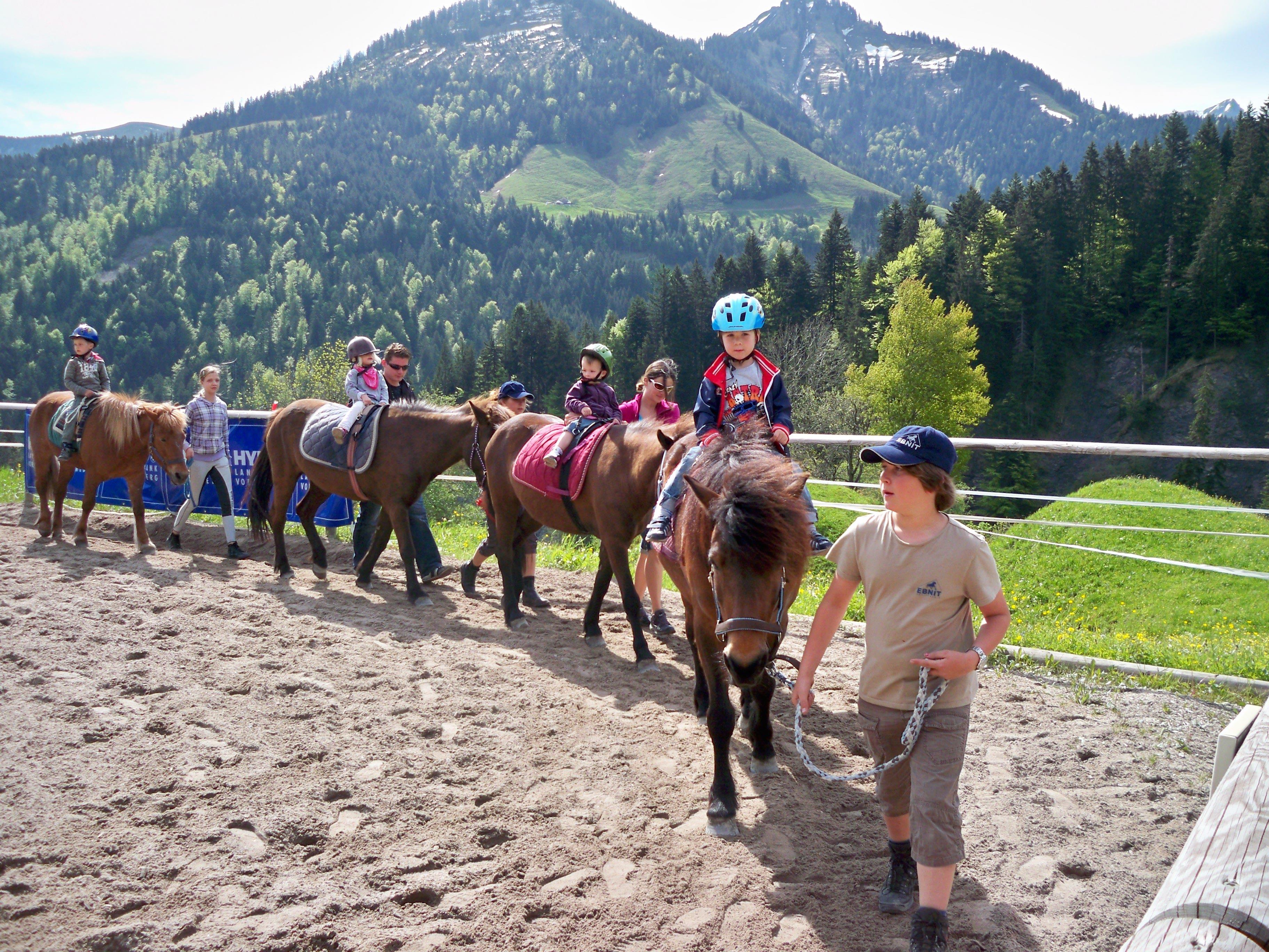 Die Pferdetage im Ebnit gehören immer zu den Highlights im ELKI-Jahr.