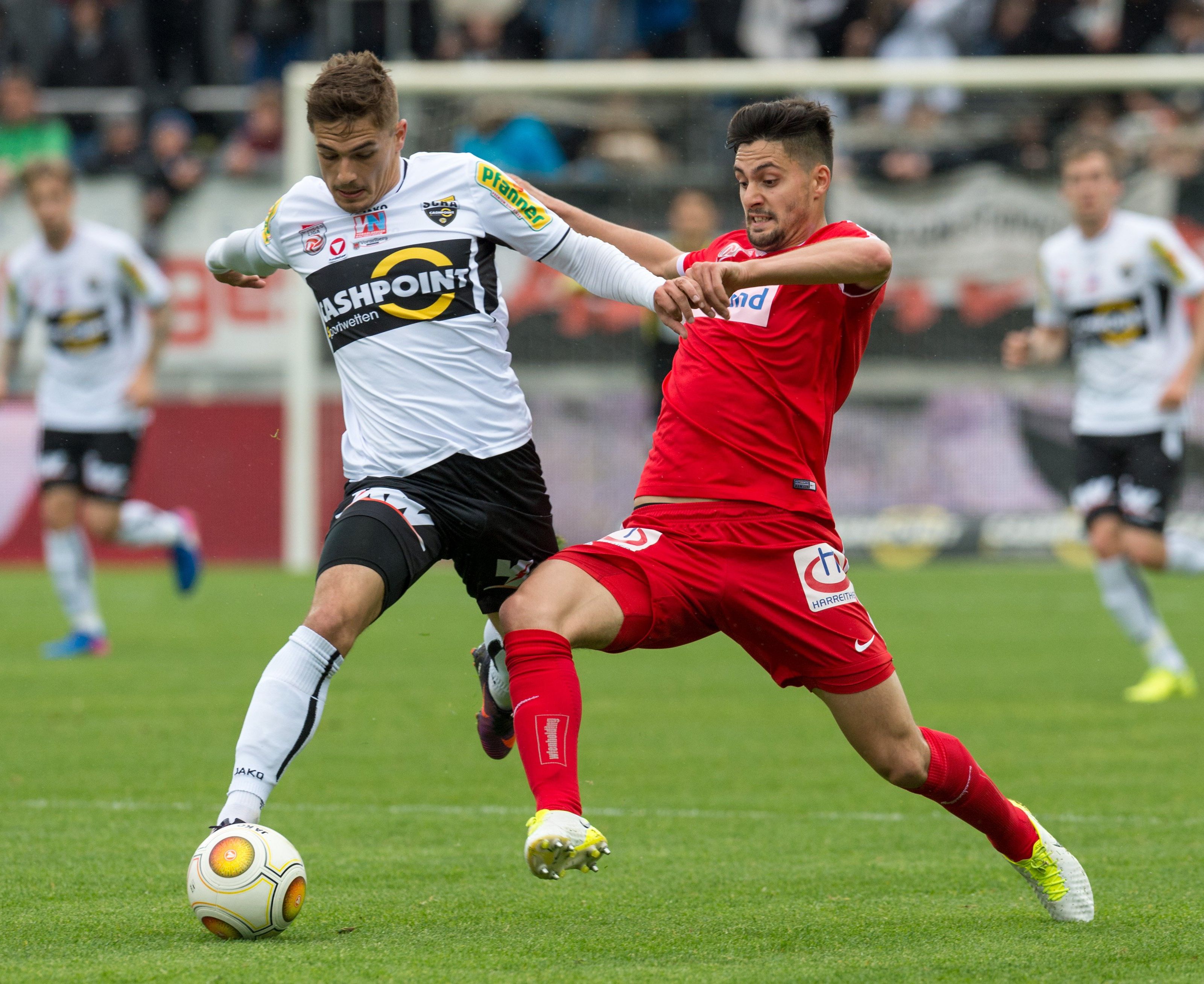 Altach und Austria Wien lieferten sich einen offenen Schlagabtausch. Altach und Austria Wien lieferten sich einen offenen Schlagabtausch.