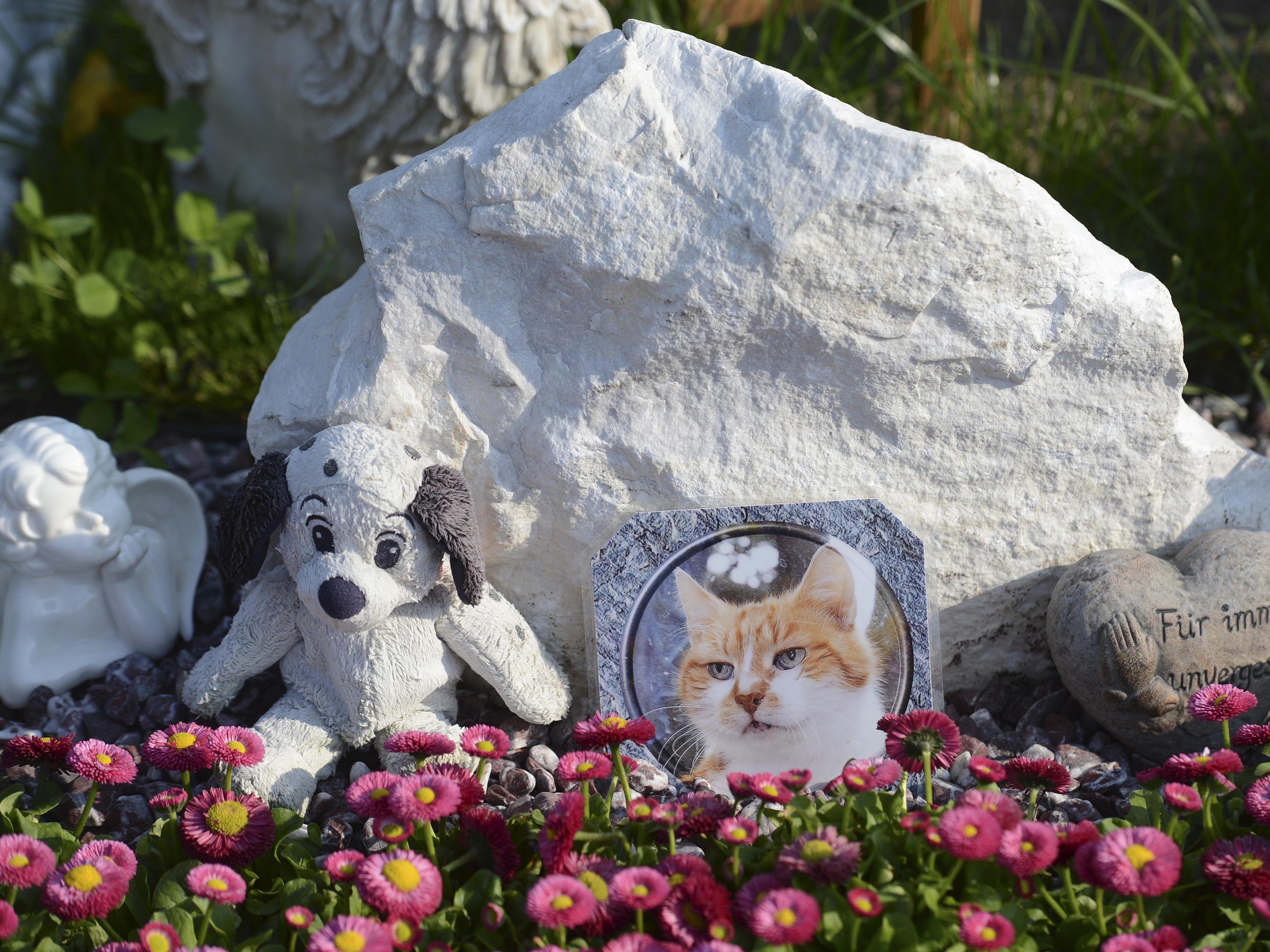 Das Grab einer Katze am Tierfriedhof in Wien