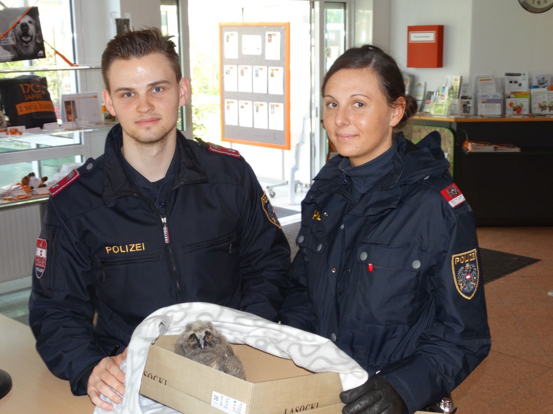 Polizisten brachten das Eulenbaby zum Wiener Tierschutzverein Polizisten brachten das Eulenbaby zum Wiener Tierschutzverein