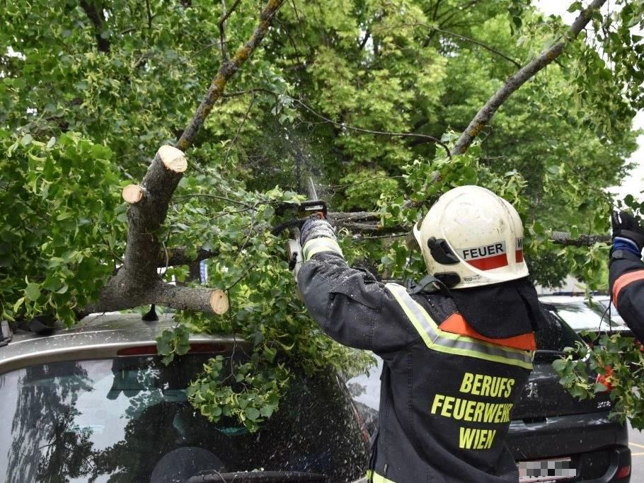 Die Feuerwehr rückte zu zahlreichen Sturm-Einsätzen aus