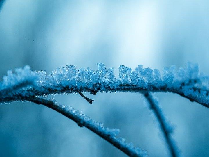 Die Eisheiligen bringen Frost und Minusgrade.
