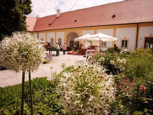 Auf Schloss Hof finden Ende Mai wieder die Frühlingsgartentage statt.