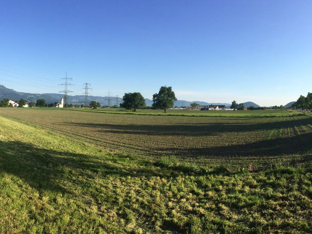 Freiflächen in Brederis wären von der geplanten Ausdehnung der Siedlungsränder betroffen Freiflächen in Brederis wären von der geplanten Ausdehnung der Siedlungsränder betroffen