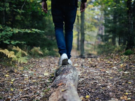 Für die im Hörndlwald geplante Reha-Klinik wäre ein Alternativstandort verfügbar.